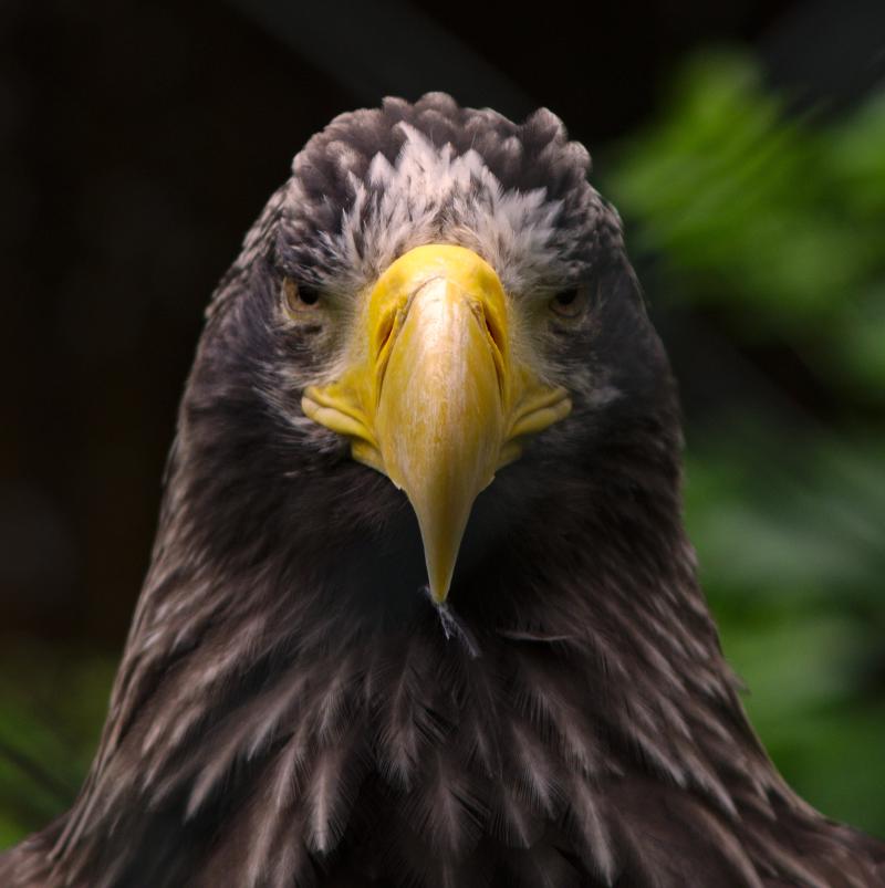 Featured image of post Der Blick