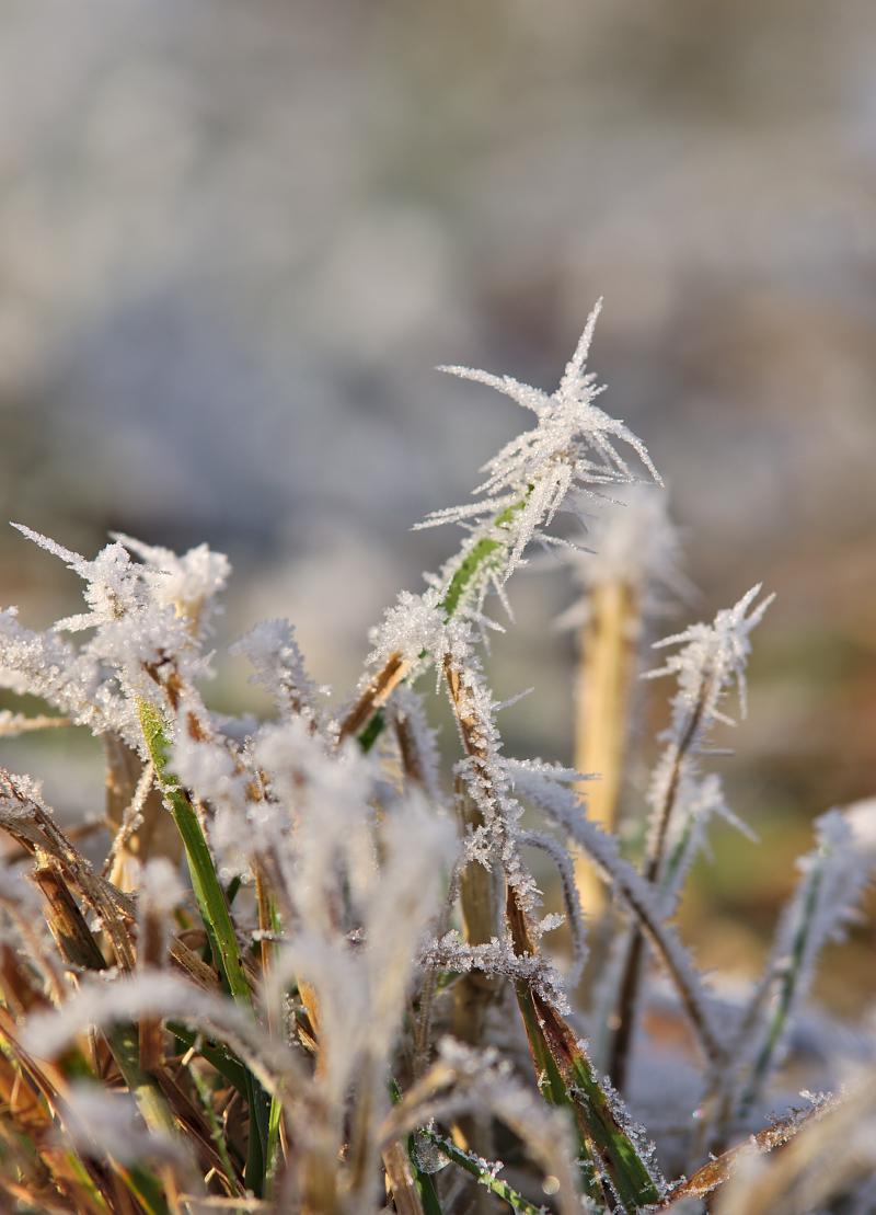 Featured image of post Tamron 70-200 Di LD SP / Pentax