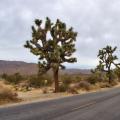 Palm Springs und die Wüste