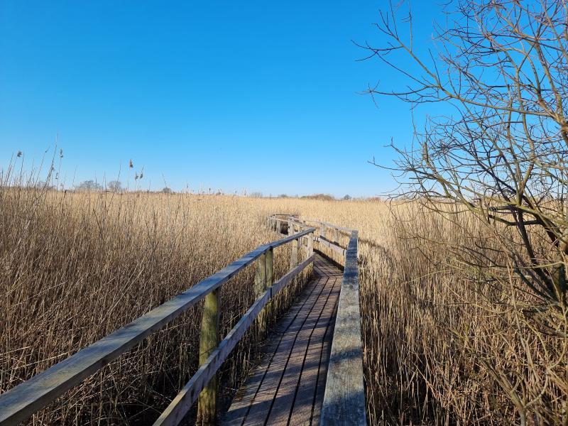 Featured image of post Zum Grundsømagle Sø und dem Spodsbjerg Fyr