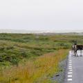 Skandinavien mit Kind und Kastenwagen - Nordschweden, Östersund, Vildmarksvägen, Sagavägen, Blåvägen