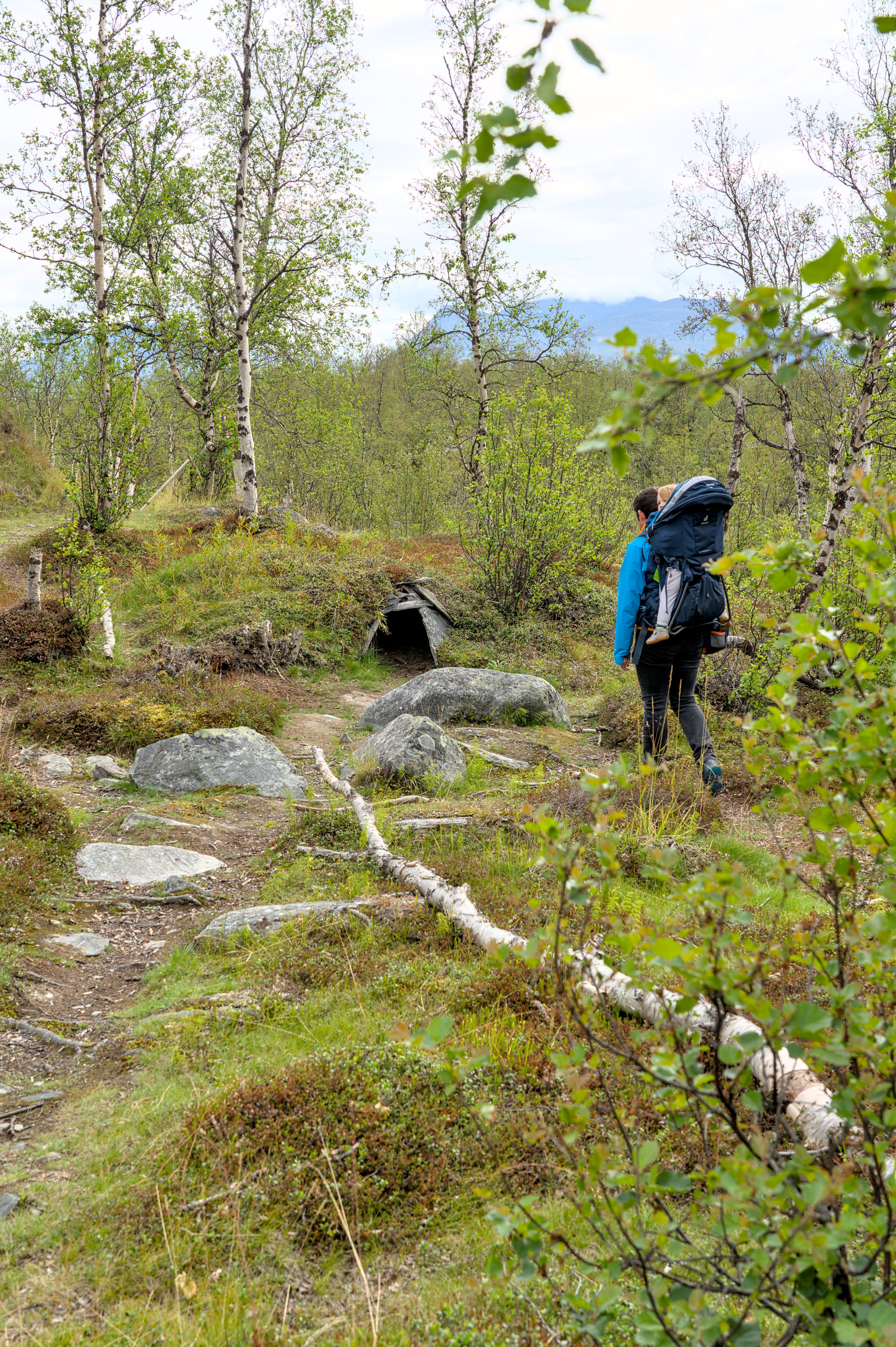 Eine Person mit einem großen Rucksack wandert durch eine grüne, bewaldete Landschaft in Lappland.